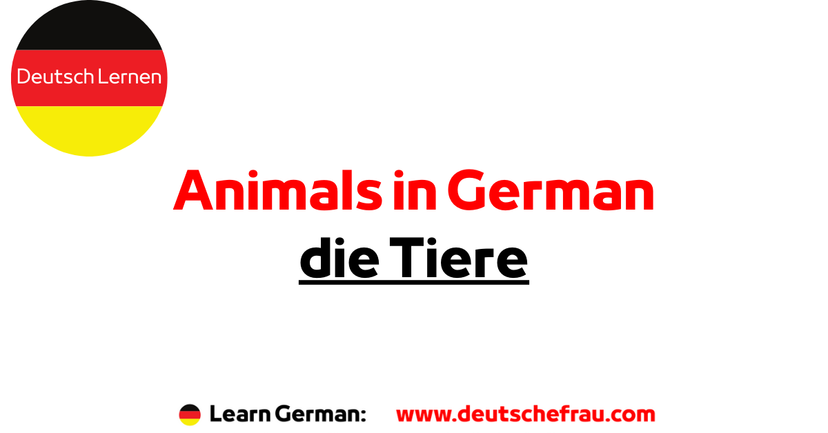 Animals Vocabulary in German